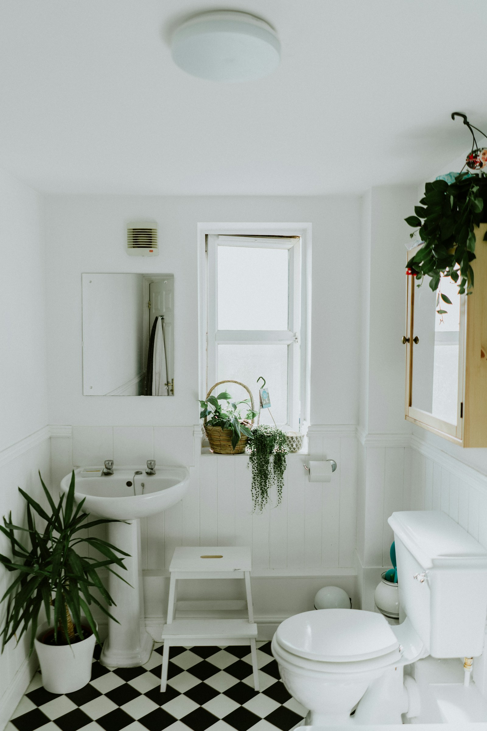 The private suite